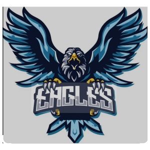 Star Academy Charter School School Logo
