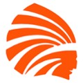 Dyer Co. High School School Logo