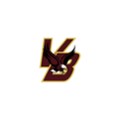 Van Buren Co. High School School Logo