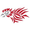 Cocke Co. High School School Logo